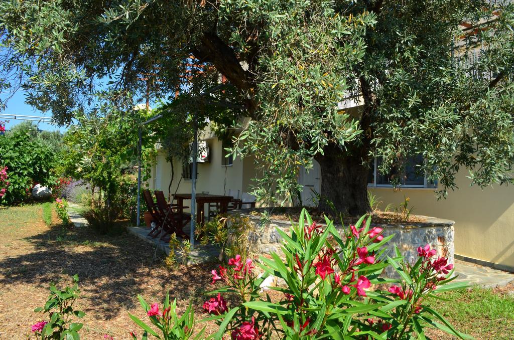 Villas Zoe Ksanemos エクステリア 写真