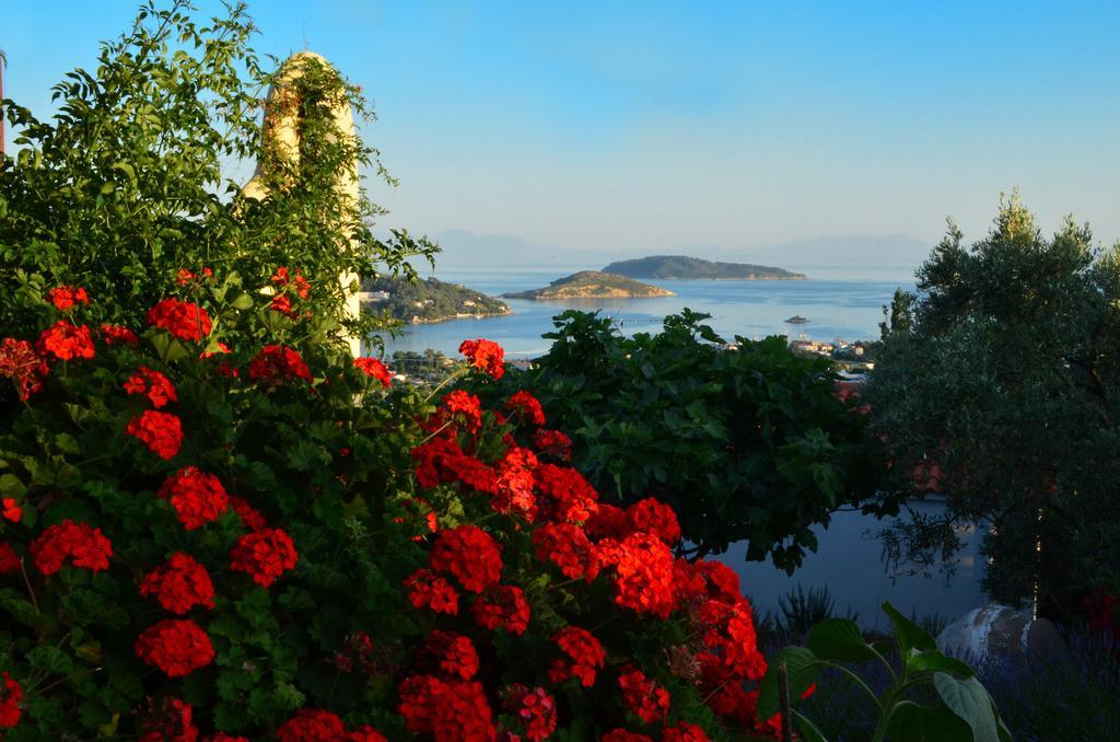 Villas Zoe Ksanemos エクステリア 写真