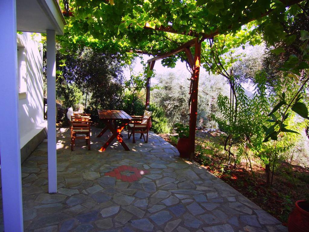 Villas Zoe Ksanemos エクステリア 写真
